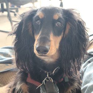 Meet your Posher, William